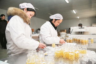 長葛蜂產業(yè) 星星之火，如何實現(xiàn)蜂火燎原