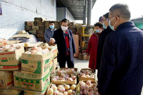 柳金鐘書記深入襄都區檢查食用農產品市場銷售信息追溯系統建設