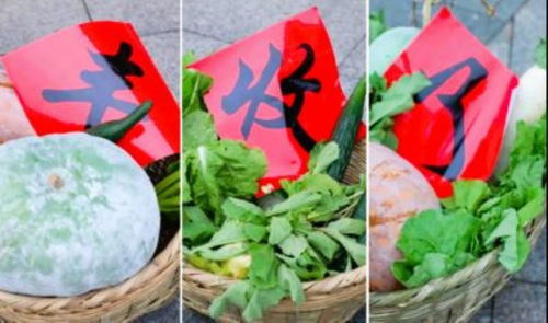 江陵沃野慶豐收 2023年中國農民豐收節暨農產品展銷會圓滿舉行